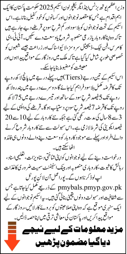 Prime Minister Loan Scheme 2025 Full Process To Apply And Get Approval