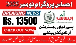 8171 Ehsaas Program Payments November 2025 Check Your Status, Amount, And Registration Online