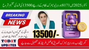 BISP 8171 Nadra Biometric Payment October 2025 Check Latest Updates & Payment Release Details