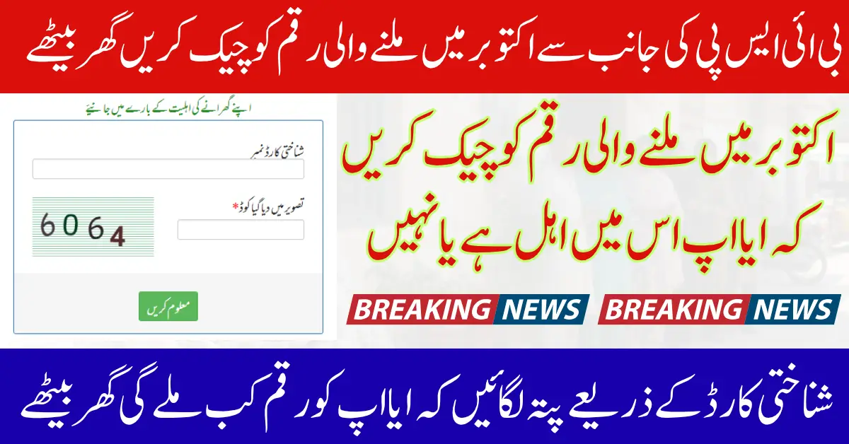 BISP 8171 Payments in October 2025 Identify Status Using Web Portal Full Guide