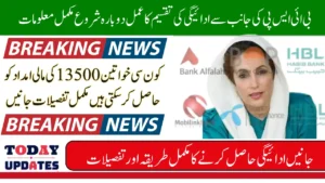 BISP Ehsaas Kafalat Payment Channels 2025 Full Guide to Withdraw New Payments