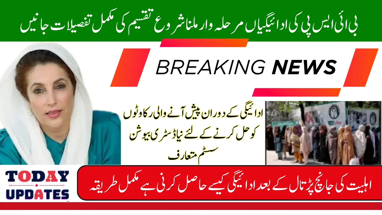 BISP Kafalat Program October 2025 Disbursement Started Cluster Wise Check Payment Details