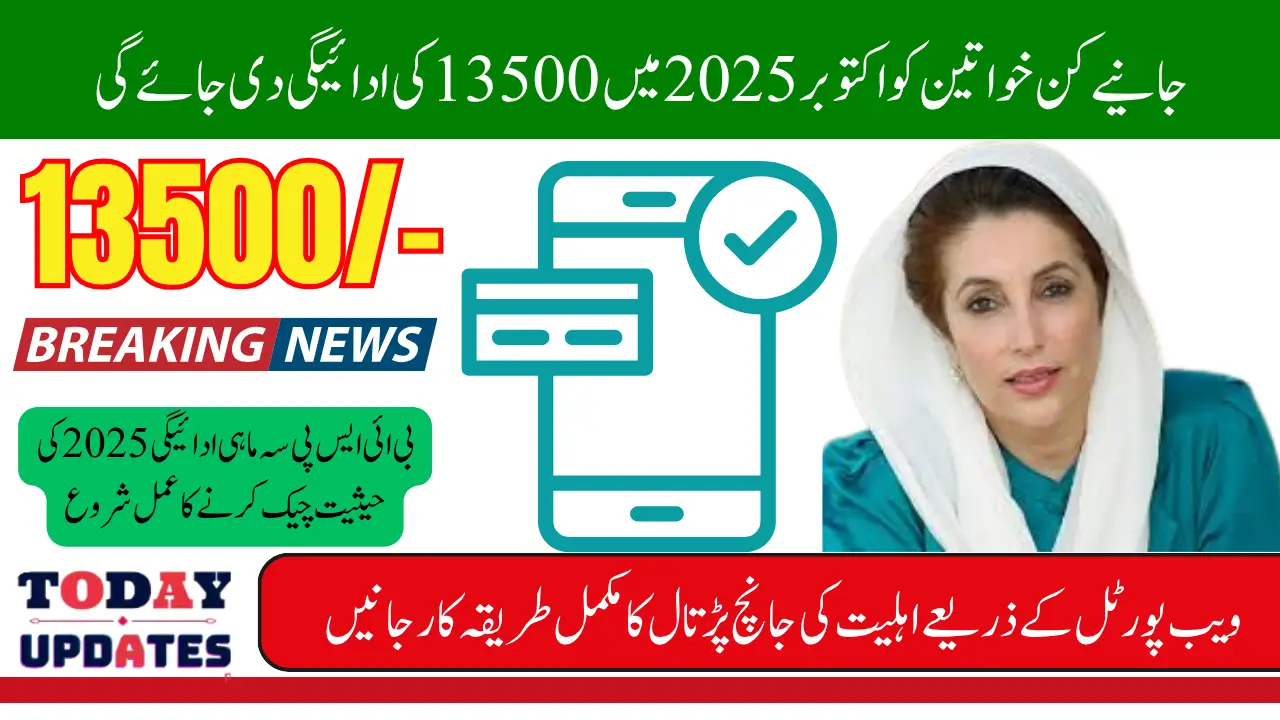BISP Quarterly Payment 2025 Check Status Full Guide to Verify Eligibility & Payment Updates