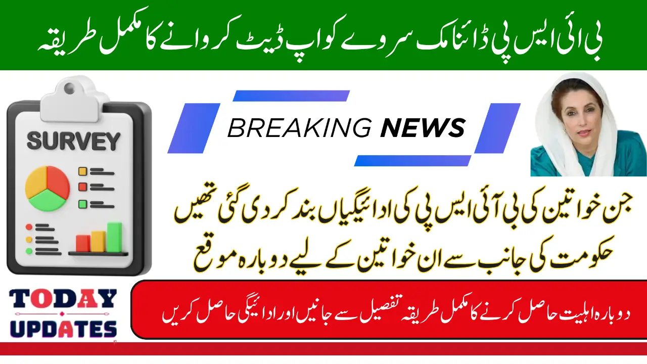 BISP Stipend Stop for Incomplete Surveys Women Know Full Guide Step By Step