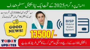 Ehsaas Program 2025 Digital Payment System Launched Get Your Payments Instantly